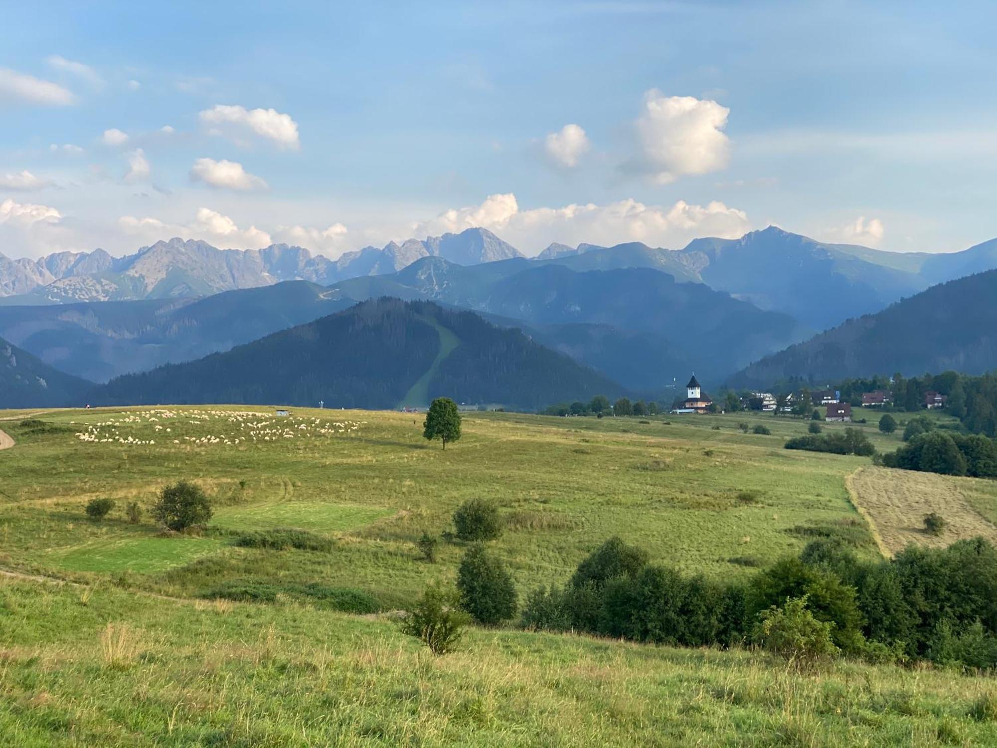 Apartament pod Wierchem Zakopane Exterior foto